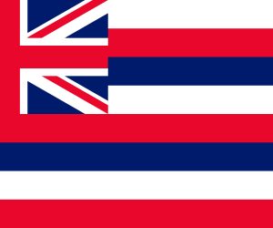 hawaii bandera